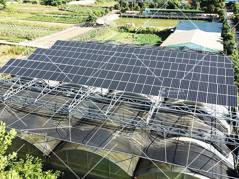 湖北217永信贵宾会绿色能源有限公司