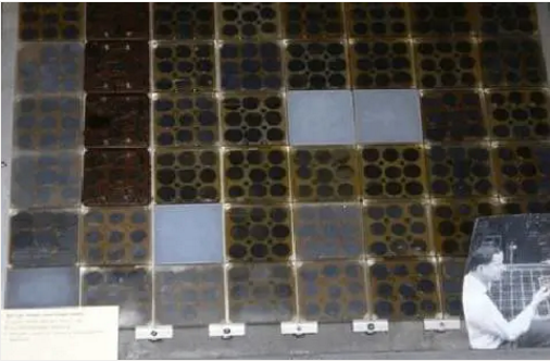 湖北217永信贵宾会绿色能源有限公司