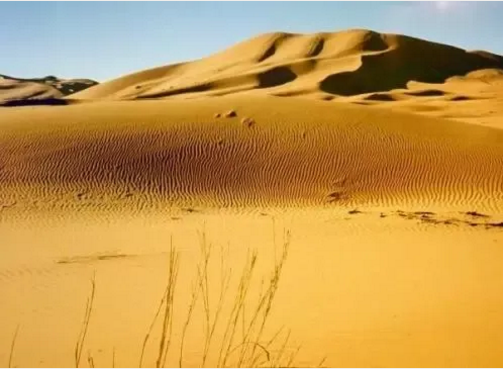 湖北217永信贵宾会绿色能源有限公司