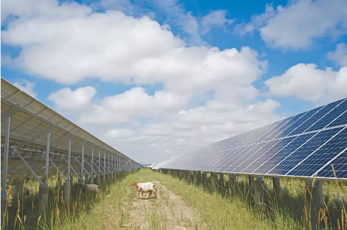 湖北217永信贵宾会绿色能源有限公司