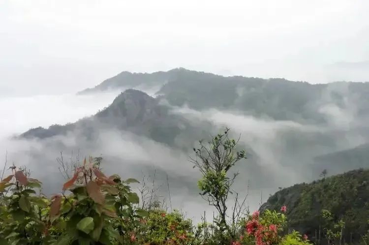 湖北217永信贵宾会绿色能源有限公司