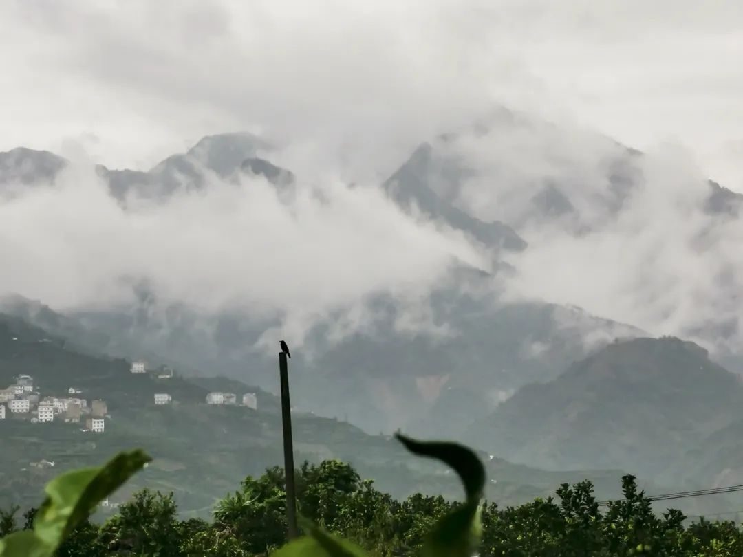 湖北217永信贵宾会绿色能源有限公司