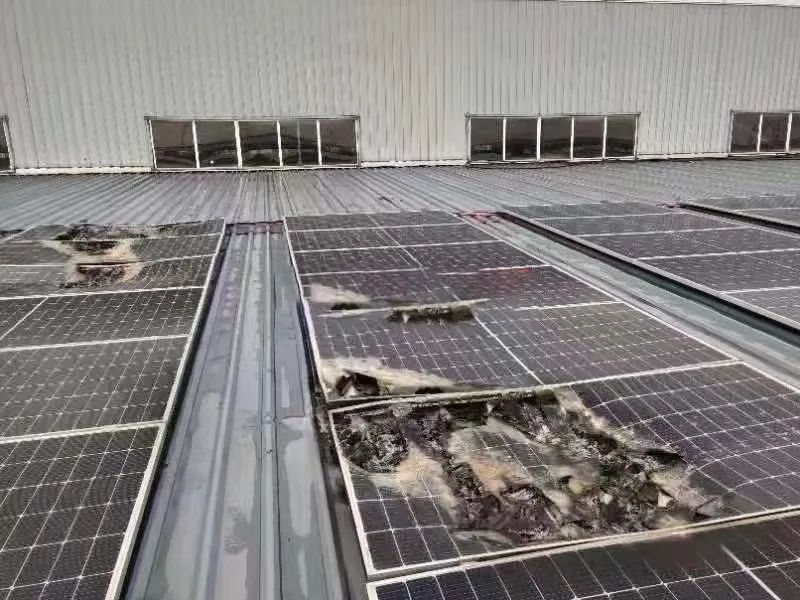 湖北217永信贵宾会绿色能源有限公司