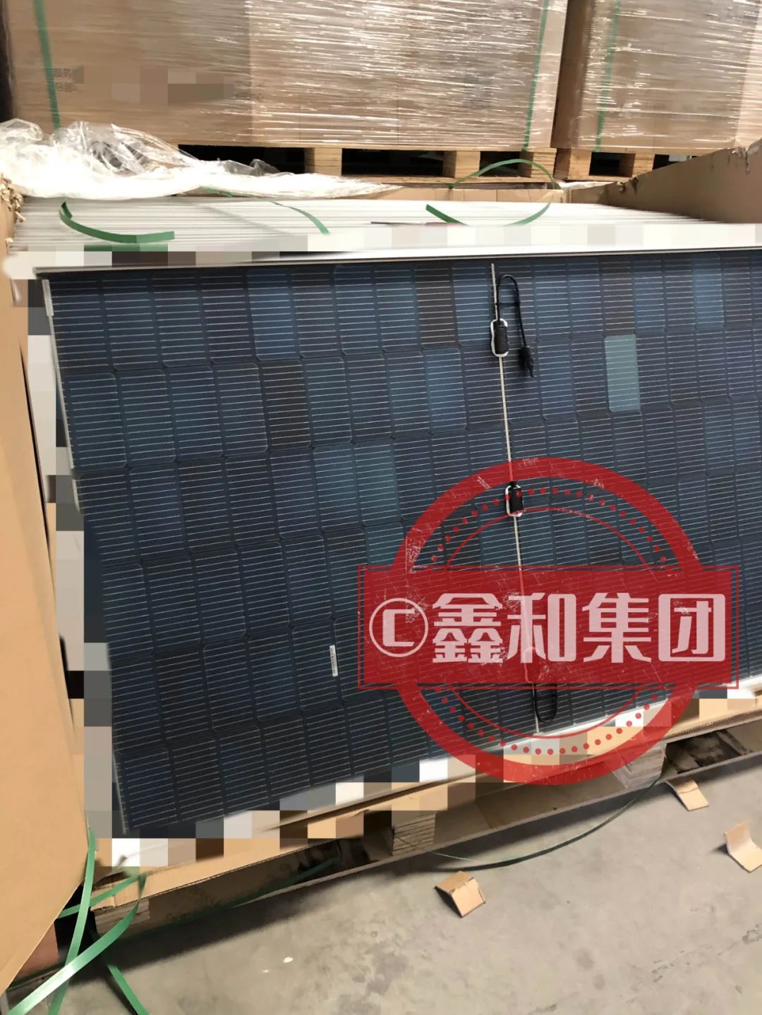 湖北217永信贵宾会绿色能源有限公司