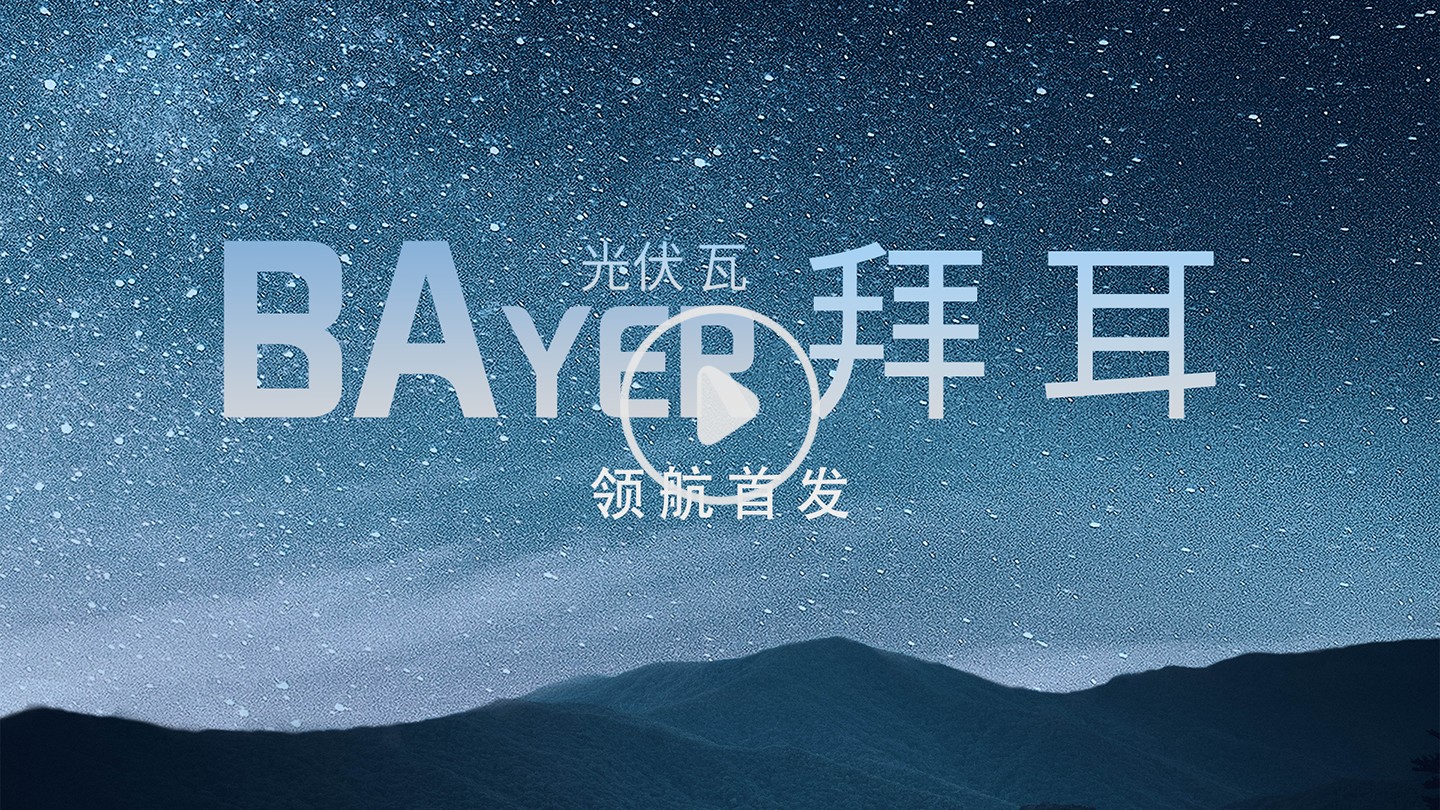 湖北217永信贵宾会绿色能源有限公司